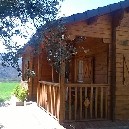 La Casa Del Estanque Villa Olocau del Rey Buitenkant foto