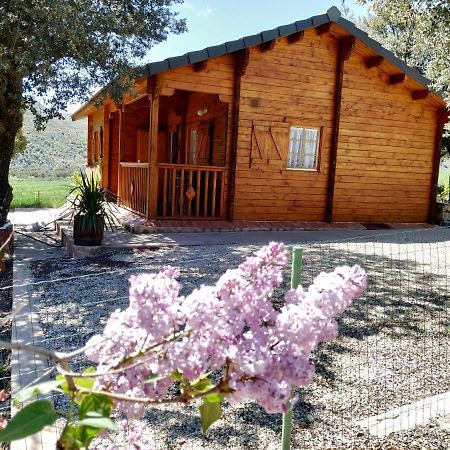 La Casa Del Estanque Villa Olocau del Rey Buitenkant foto
