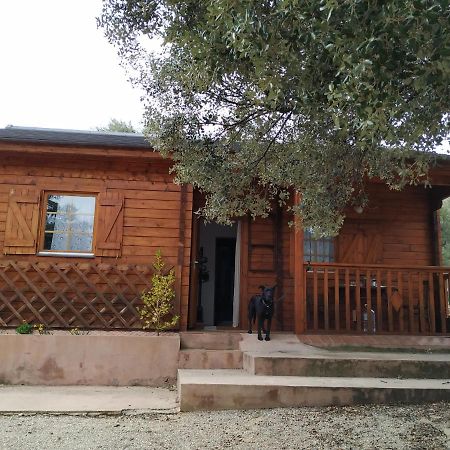 La Casa Del Estanque Villa Olocau del Rey Buitenkant foto