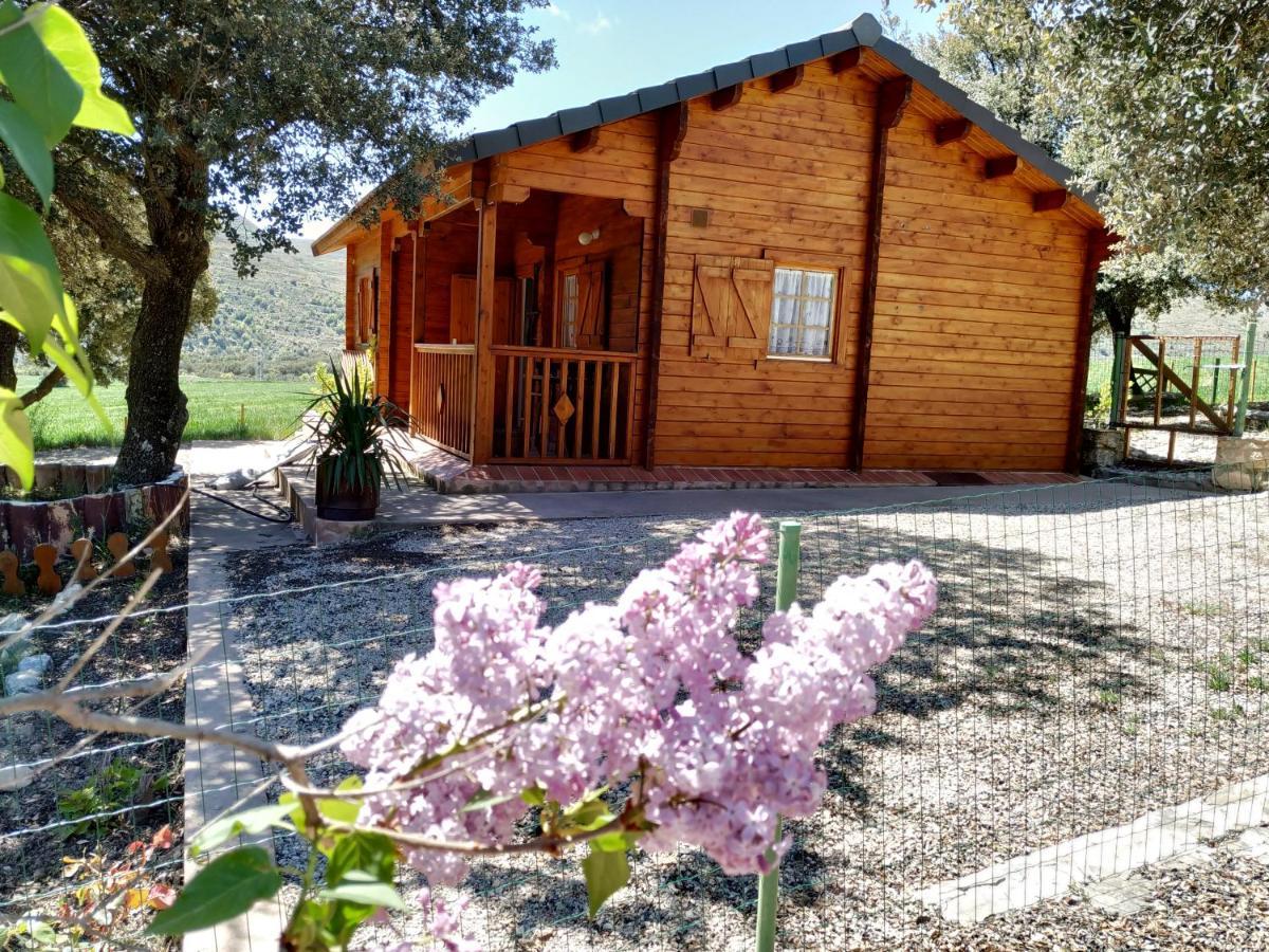 La Casa Del Estanque Villa Olocau del Rey Buitenkant foto